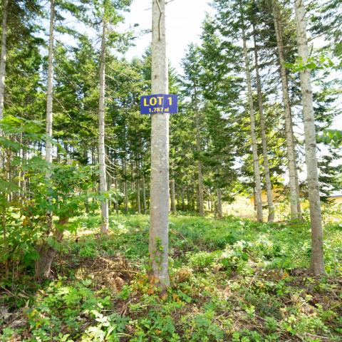 Annupuri Residences Lot #1