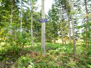 Annupuri Residences Lot #1