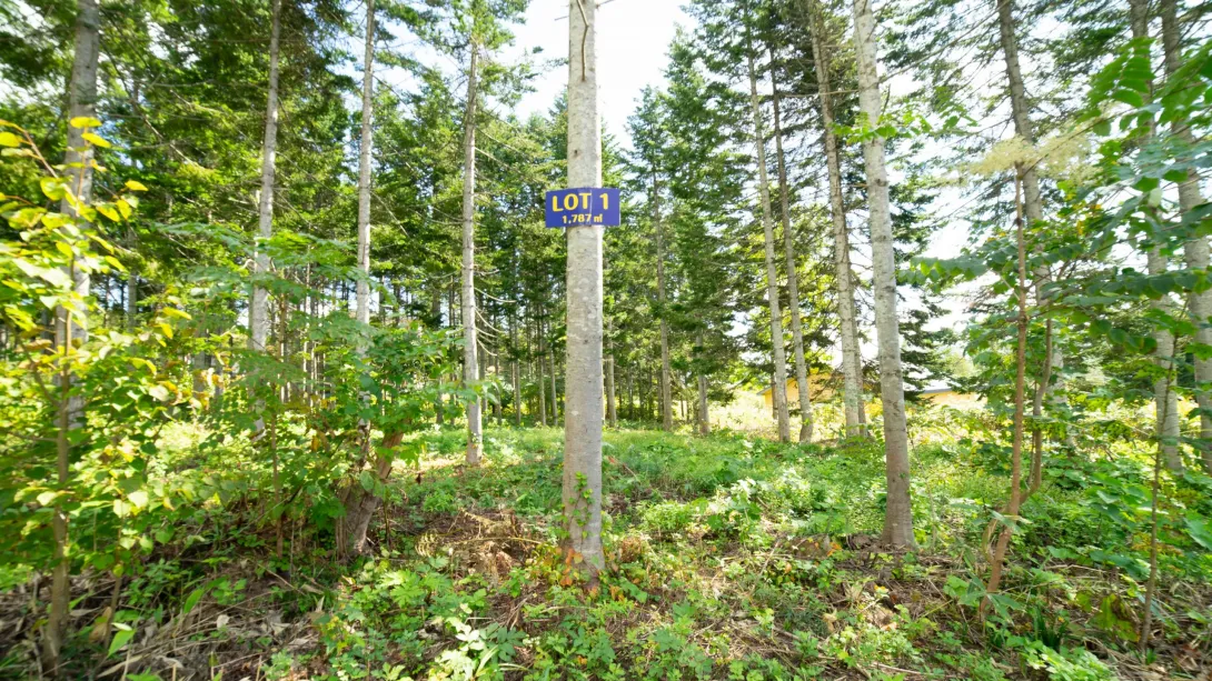 Annupuri Residences Lot #1